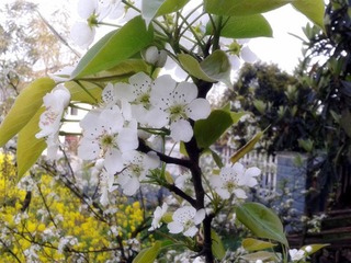 2012-03-31 09.23.34_副本.jpg