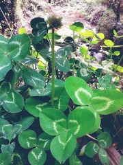 2012-03-31 09.48.58_副本.jpg