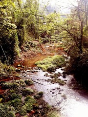 2012-03-31 10.06.07_副本.jpg