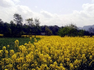 2012-03-31 13.11.57_副本.jpg