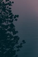 689125
