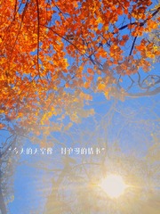 7B160B12-285F-4F19-AE50-47D81671DD90/L0/001