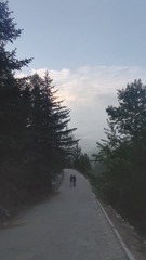 1000025811
