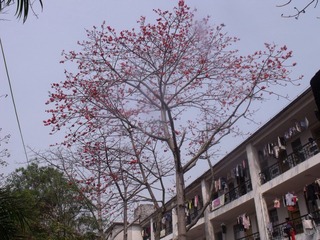DSCF1989.JPG