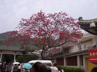 DSCF2061.JPG