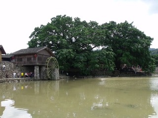 DSCF2296.JPG