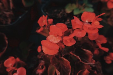 634259
