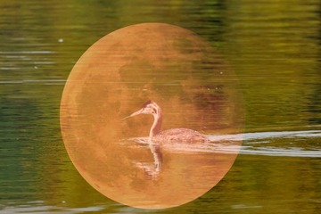 120863