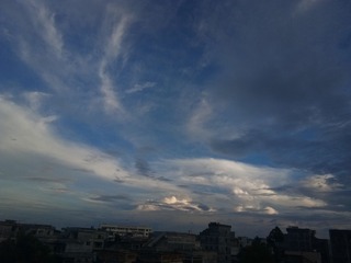 532264