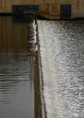 1046867