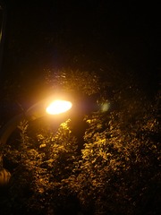 75E48049-633C-40EB-BF8B-3C0E8D2CA0AD/L0/001