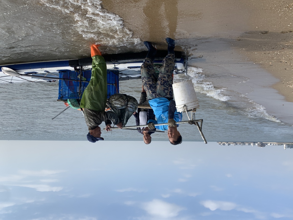 打渔归来厦门会展中心海域渔民们收获满满快乐而归