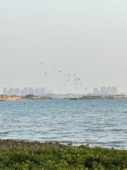 D22CBA15-42BB-4B4F-9BB3-E8F1E3844DA8/L0/001