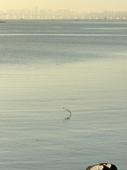 434151D2-E555-458D-BC31-447AFF5C889A/L0/001