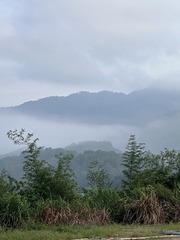 9DD3FB28-C9ED-4BA2-98CA-DA5EC317C58C/L0/001