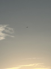 79E2F636-31A3-4BF8-B759-707E7EA4C327/L0/001