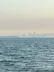 E37A7C09-1D9E-42F9-B412-415A58151B49/L0/001