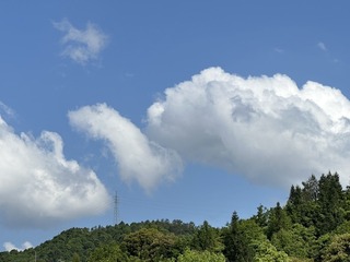 BC943596-9205-4E00-935F-5FAA9E6C56DF/L0/001