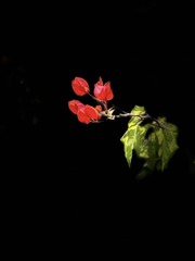 F6354FAA-8D92-44A2-B2AF-BC349225A682/L0/001