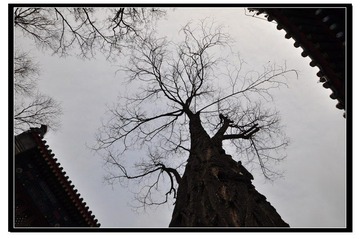佛门2.jpg