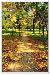 CSC_0755