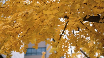 0678F5EF-28A3-4893-B4FC-B7F3D9B65CE3/L0/001