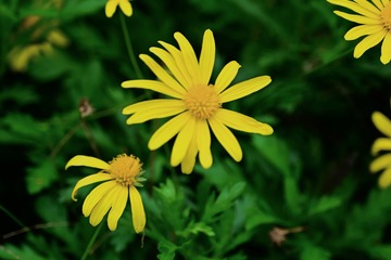 78FE8158-E8FF-4CE0-B1E9-C169C0DD6636/L0/001