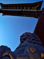 6132328