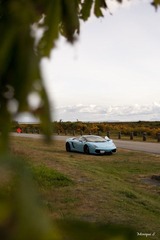 IMG_4384.jpg