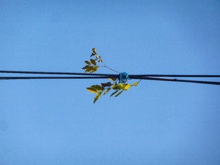 54F9F006-5A85-4638-AB9A-3D08FDC9F7C1/L0/001