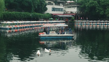 1B4A6837-F62E-49D2-866C-0696C60AB9C9/L0/001