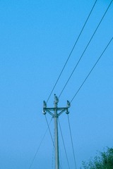 72728477-6CBB-411F-9AB1-C0DC8426B2EA/L0/001
