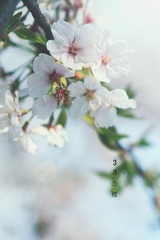 IMG_7698SYZ.jpg