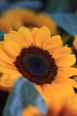 86EFD376-9F12-40DF-A31D-727D1E9603D5/L0/001