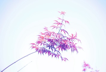 4F1A7F25-2D17-4009-9152-2FCDCCB4FB11/L0/001