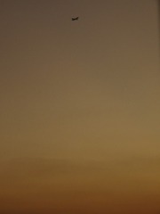 58E43961-44A4-4B2F-A433-1BBA4AEF64BC/L0/001