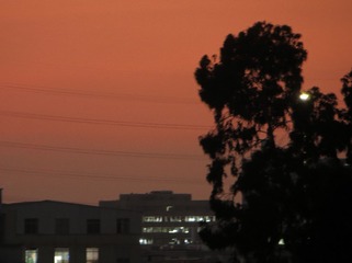 7151BDE0-0483-4484-9A03-D05EC3FA2C39/L0/001