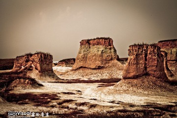 IMG_4364-2b.jpg