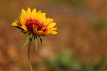 5ED6297E-8BB5-4ADC-A81E-F3358FA6E858/L0/001