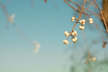 4679598E-C4B5-45FB-AB9D-2BCDB6BB06F9/L0/001