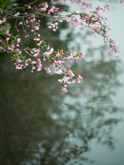 346D8084-E53D-4236-9B74-D1043916FB83/L0/001