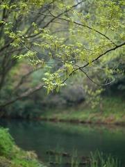 6860DD04-C7FA-4827-BE9B-B95E3E3658A4/L0/001
