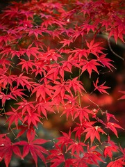 60693FE6-1AB1-433D-BC89-0F8755825CC5/L0/001