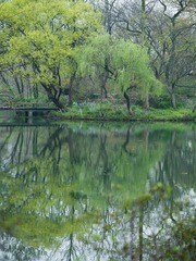 E8FADD4F-05D7-474E-8C6B-ED1BC450B639/L0/001