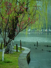 16F96636-C63B-4A2A-BEAF-A9865DA3CC8D/L0/001