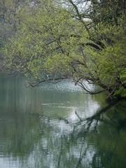 0B9E2EDA-9731-4BF4-9FDD-34FDE4F34CCF/L0/001