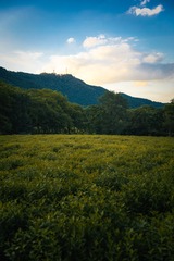 杭州北高峰·天下第一财神庙