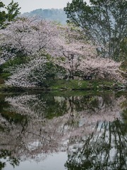 7A748EA6-26B3-40C5-BCB1-E120F329170B/L0/001
