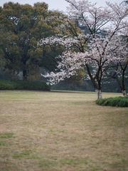 B741C769-8F35-40E6-BACC-D97C99AB6988/L0/001