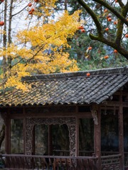 76085F94-3B03-4091-A560-702B7B81EEC6/L0/001